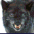 278.gif