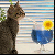 1558.gif