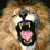 297.gif