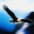 1052.gif